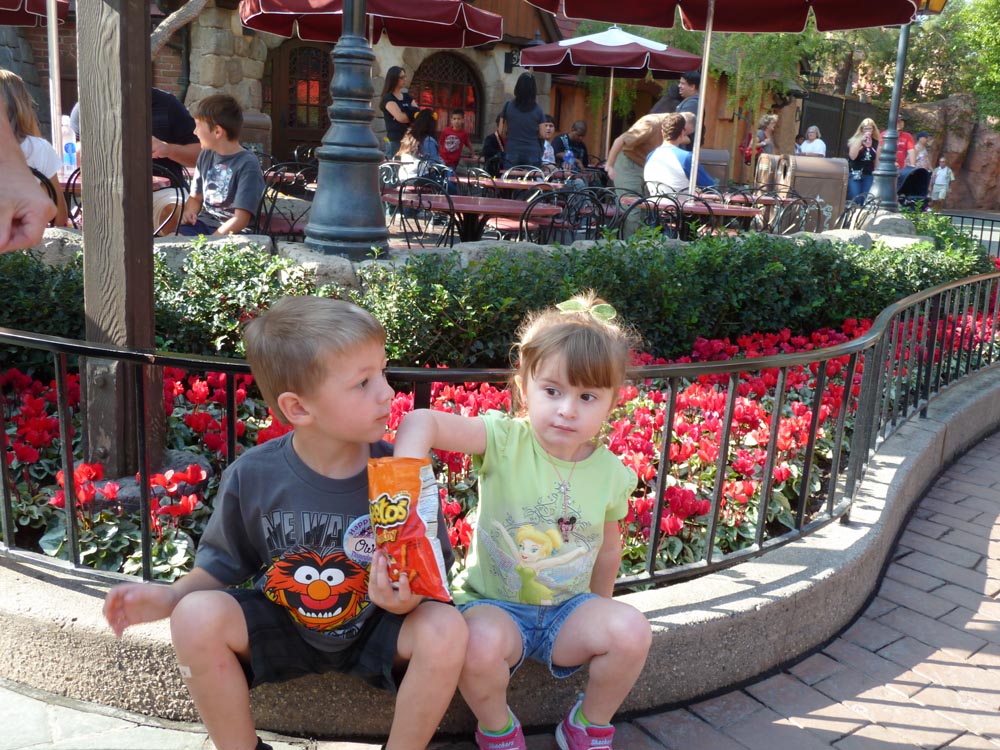 Disneyland Nov 2012 (8)